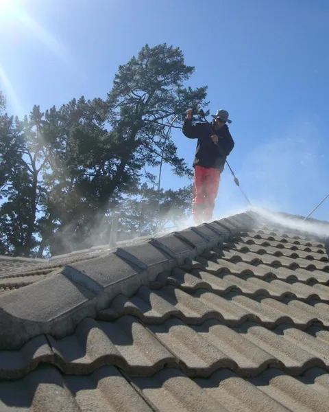 Roofing Professional